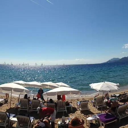 Centre 2 Rooms+mezzanin