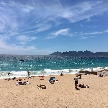 Appartement Centre 2 Rooms+mezzanin *