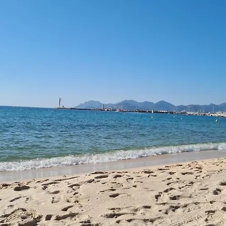 Appartement Centre 2 Rooms+mezzanin