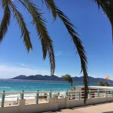 Appartement Centre 2 Rooms+mezzanin *